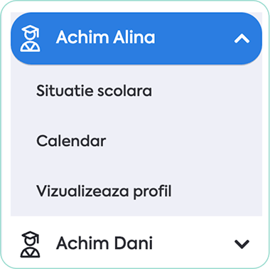 Profil elev